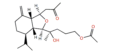 Klyxumollin C